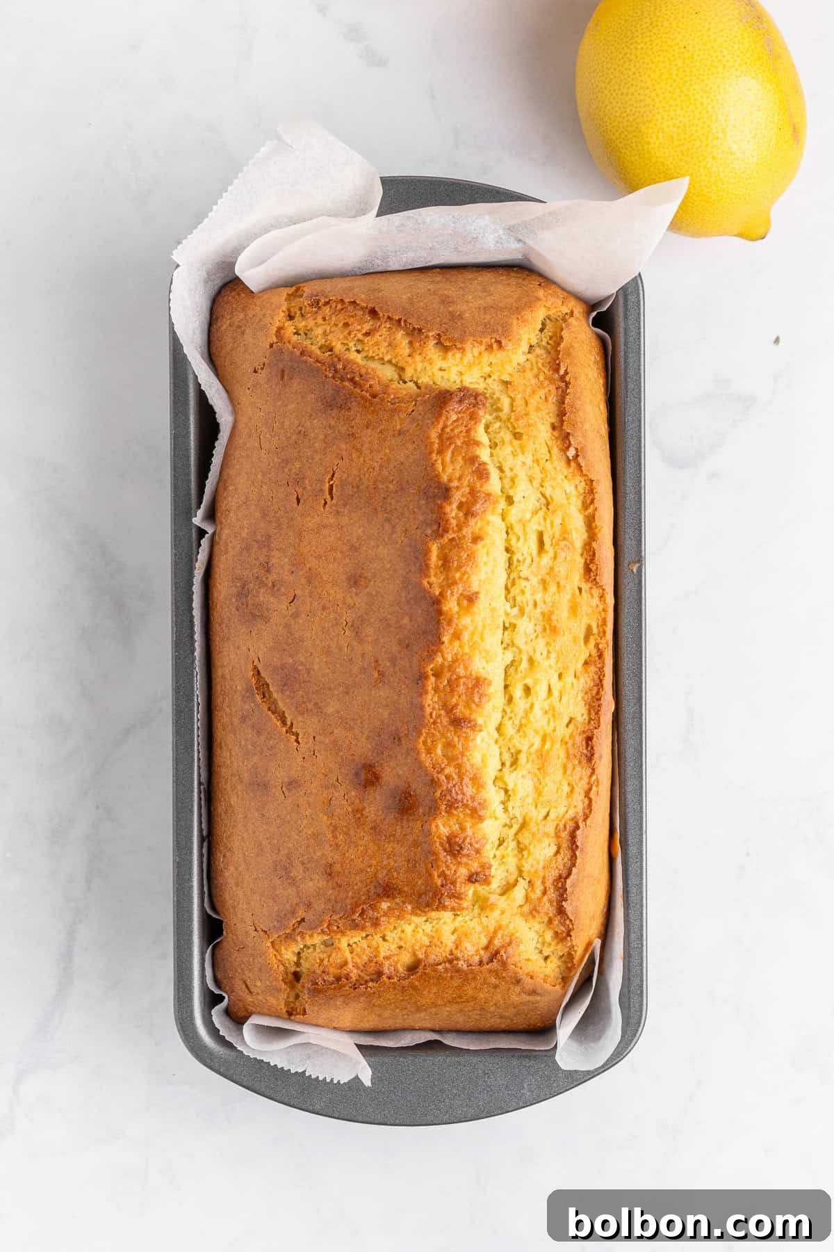 Zesty Whole Lemon Blender Cake 8 A loaf of golden-brown lemon bread in a parchment-lined loaf pan on a marble surface. A whole lemon lies beside the pan.