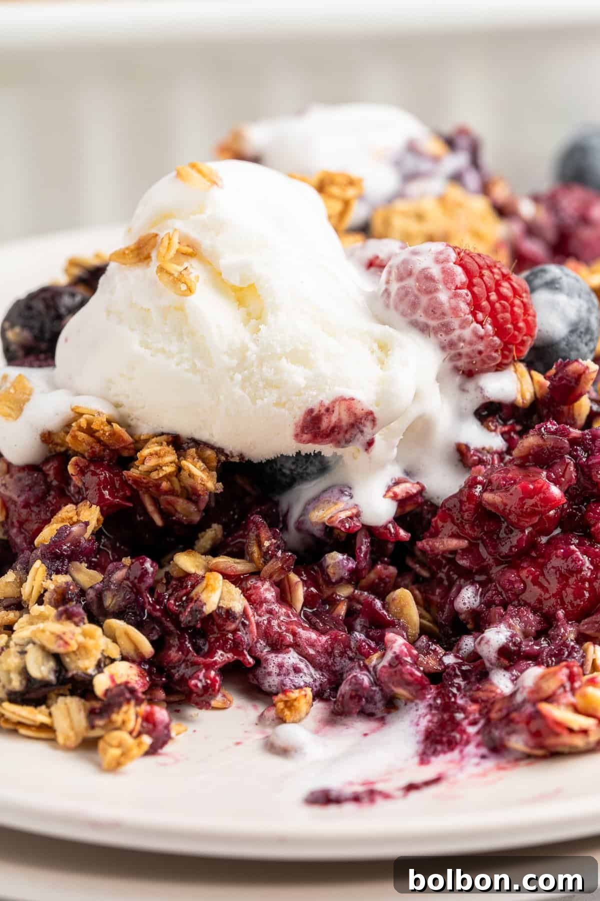Summer Berry Crunch 2 A close-up of the finished Berry Crumble topped with a scoop of vanilla ice cream. The image contains oatmeal, blueberries, and raspberries, with melted ice cream drizzling over the dessert on a white plate.