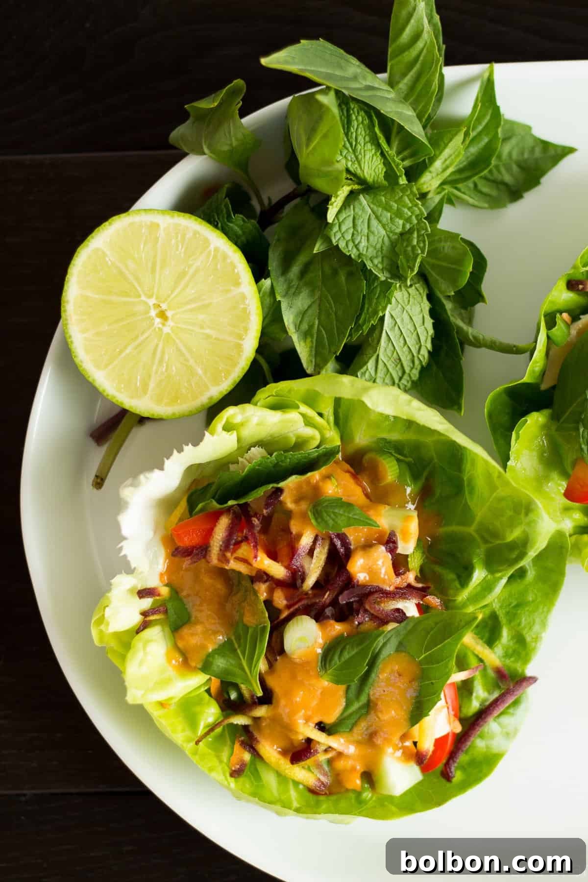 These Ginger peanut lettuce wraps are filled with colorful veggies, your protein of choice, and the most addictive peanut sauce ever!