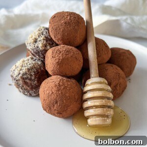 A plate of chocolate truffles dusted with cocoa powder, some coated in chopped nuts, with a honey dipper resting on the plate and honey pooling beneath it.