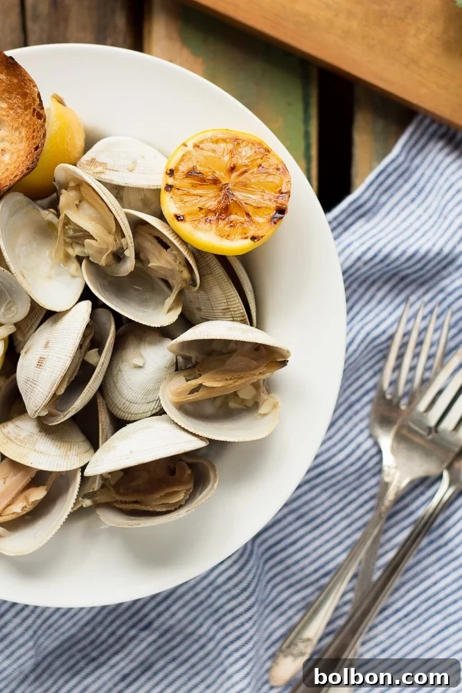 A rustic outdoor setting with a Dutch oven on a campfire, symbolizing the ease of making Beer Steamed Clams while camping.