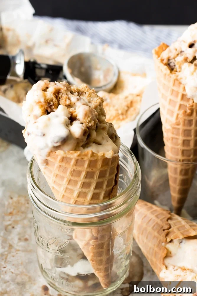 Easy No-Churn S'mores Ice Cream 8 A top-down shot of a bowl of No-Churn S'mores Ice Cream, garnished with extra graham crackers and chocolate.