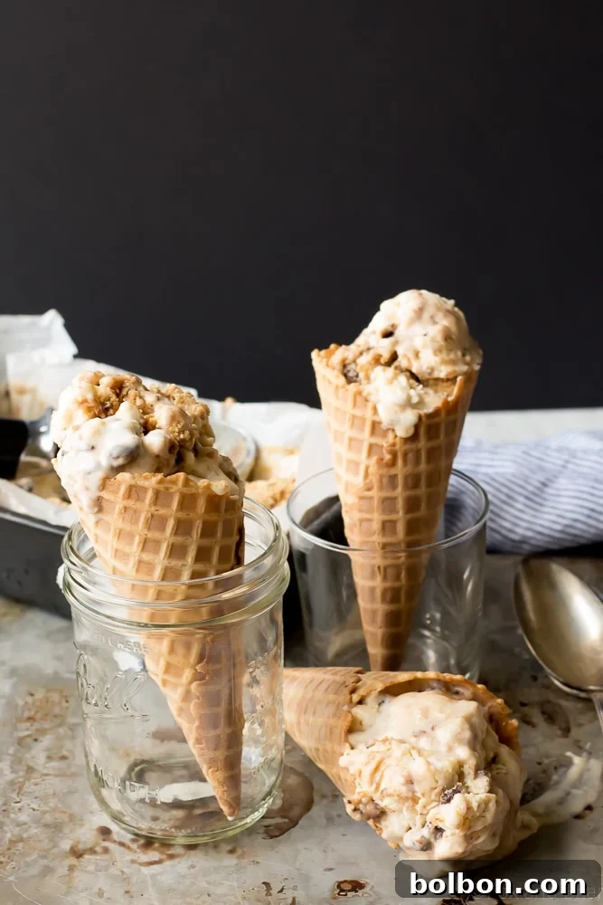 Easy No-Churn S'mores Ice Cream 6 Close-up of the No-Churn S'mores Ice Cream showing rich chocolate swirls.