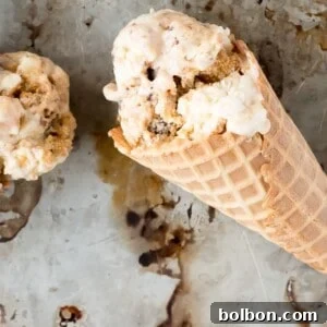 No Churn S'mores Ice Cream, a delicious frozen dessert.