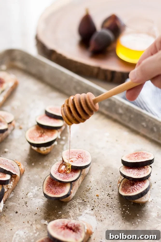 Honeyed Fig and Chevre Crostini 4 Fig and Goat Cheese Crostini arranged beautifully, ready to be served.
