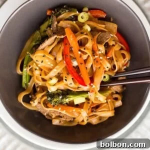 This quick and easy Beef Noodle Stir Fry takes under 30 minutes and is easily made gluten free! Full of veggies, beef and a flavorful sauce, your whole family will love it!