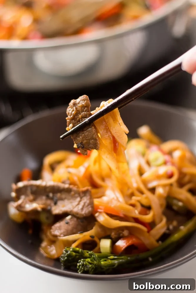 A beautifully composed shot of the Beef Noodle Stir Fry in a serving bowl, ready to be enjoyed.