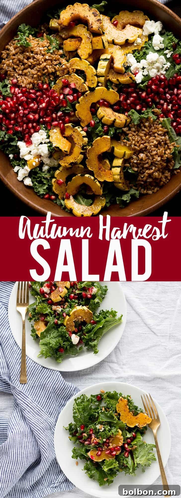 Autumn Harvest Salad ingredients prepped, showcasing raw delicata squash, kale, and pomegranates on a cutting board.