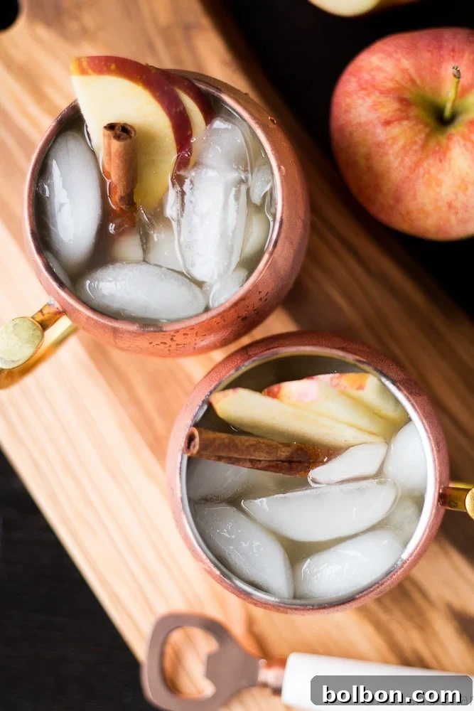 Orchard Spice Irish Mule 7 A top-down view of a completed Apple Cider Irish Mule in a copper mug, ready to be enjoyed