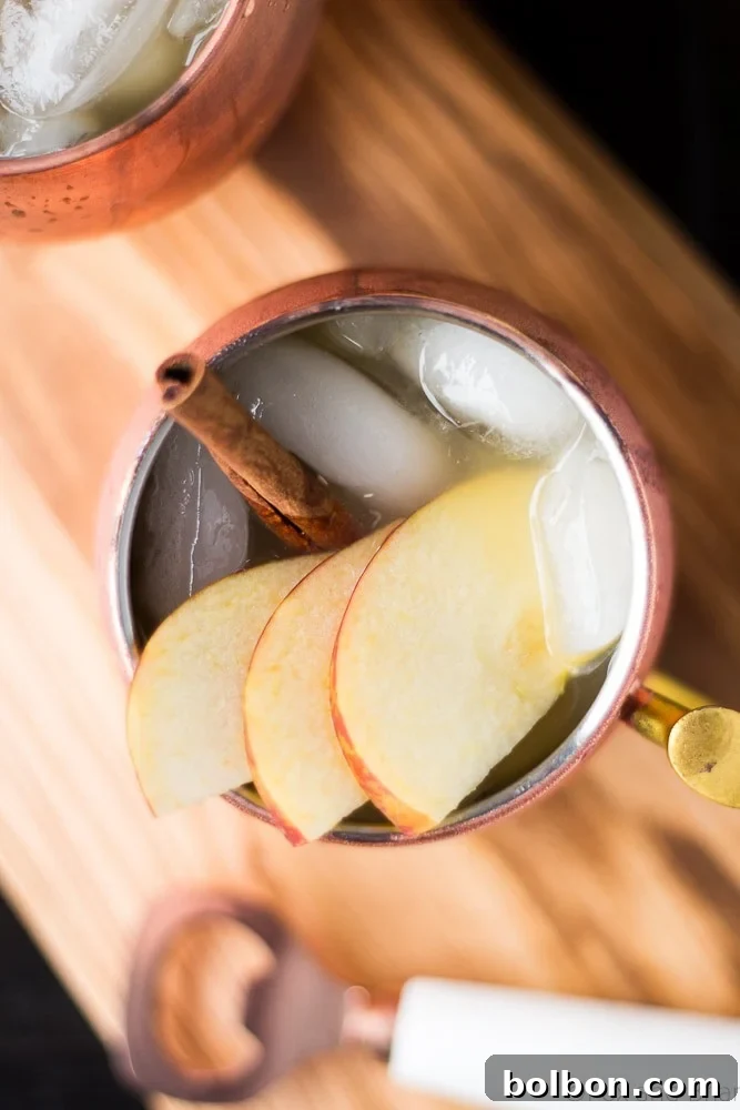 Orchard Spice Irish Mule 5 A hand holding a copper mug filled with Apple Cider Irish Mule, topped with ice, apple slices, and a cinnamon stick
