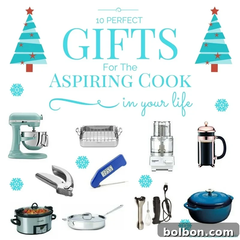 Unlock Their Culinary Potential: Gifts for the Aspiring Chef 2 10 Perfect Gifts for the Aspiring Cook in Your Life