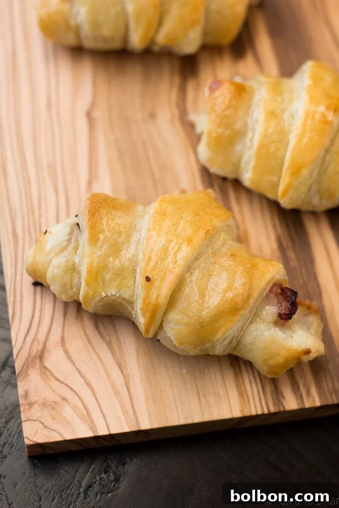 A serving of two golden, flaky ham and cheese croissants with a fresh green salad and a glass of white wine, suggesting a light meal.