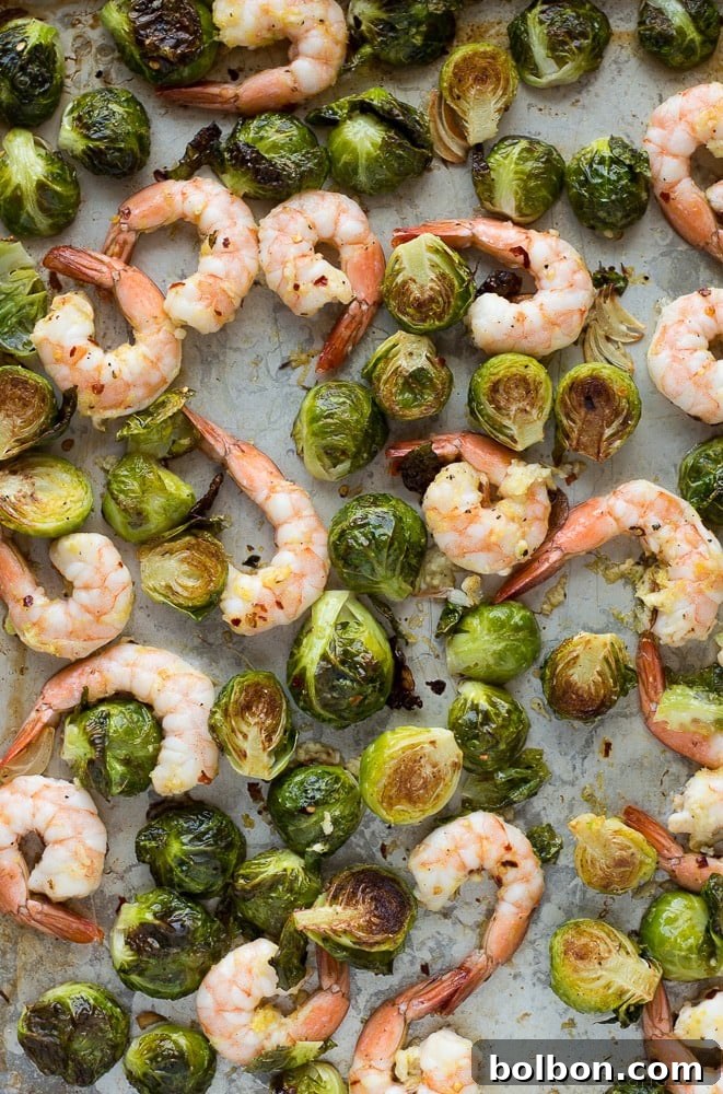 Overhead view of roasted shrimp and Brussels sprouts on a sheet pan, ready to be served.
