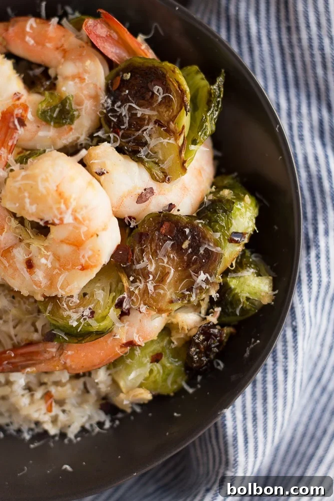 Roasted shrimp and Brussels sprouts plated with rice, ready to be enjoyed.