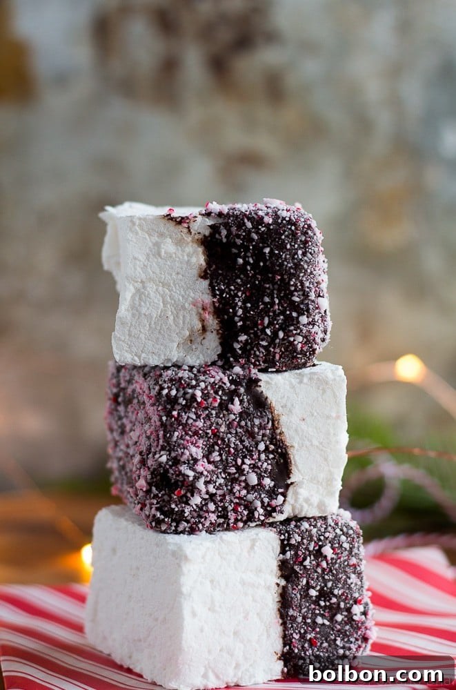Close-up of a homemade peppermint marshmallow dipped in chocolate and candy canes.
