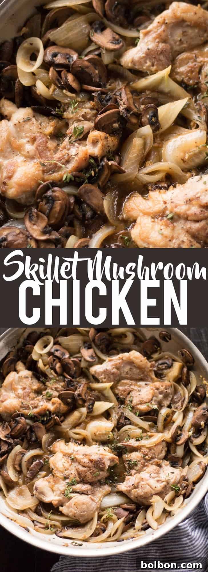Skillet Chicken with Wine-Kissed Mushrooms 3 Close-up of Skillet Chicken and White Wine Mushrooms, showcasing the rich sauce and tender ingredients.