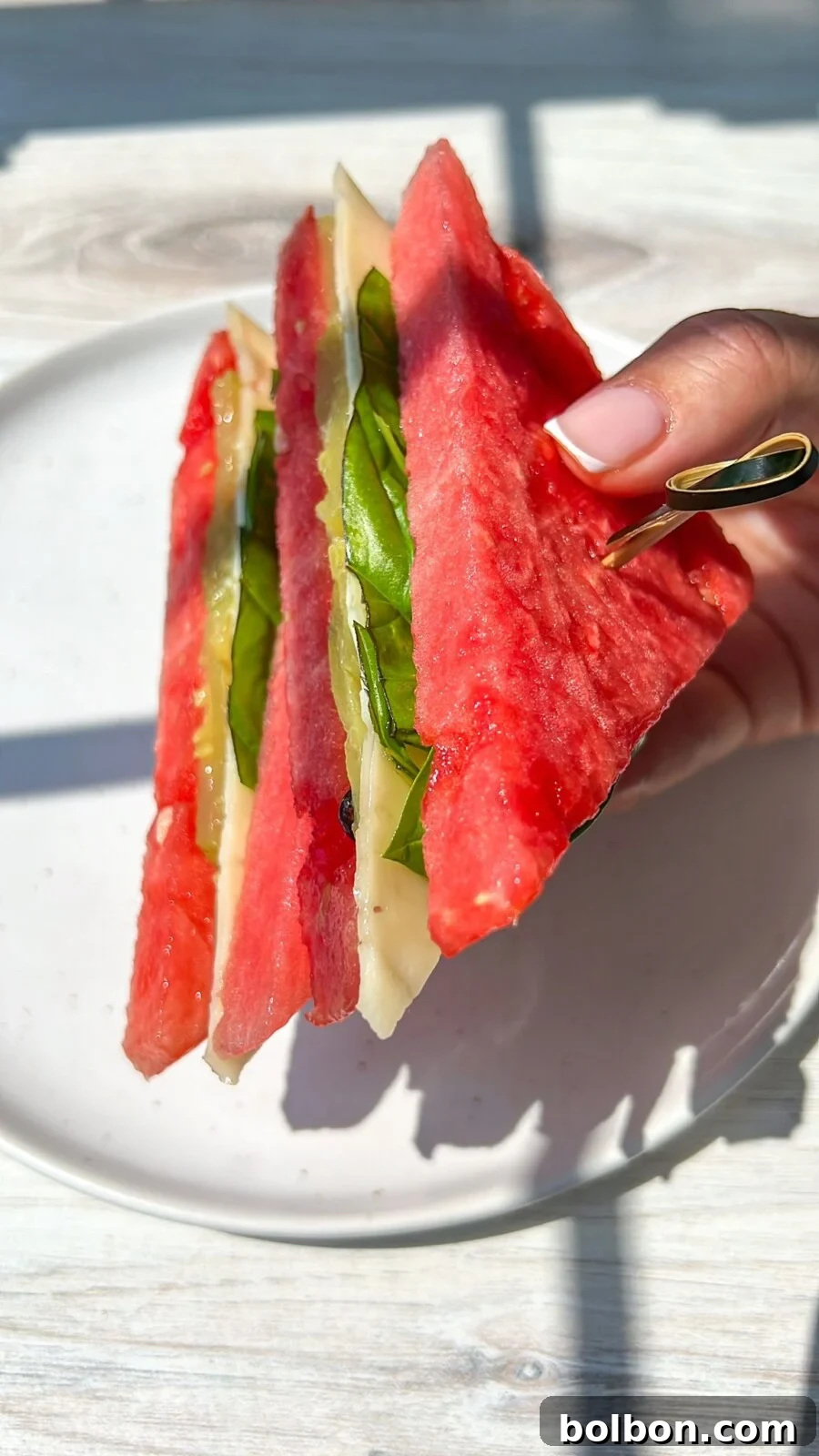 Melonwich Magic 2 Watermelon Sandwich