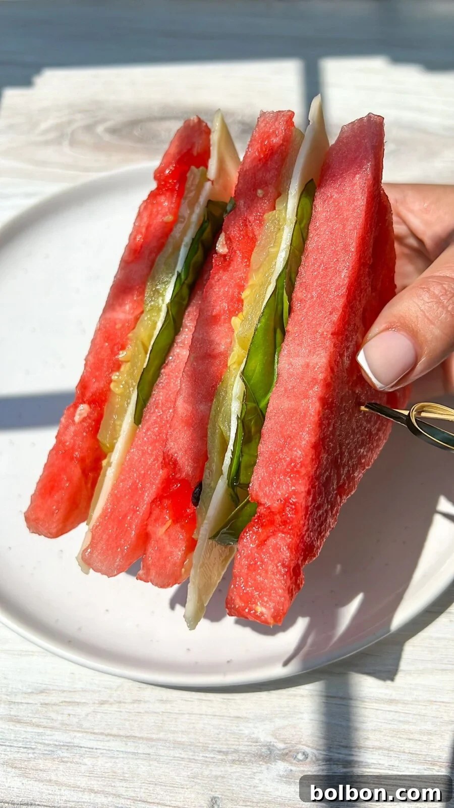 Melonwich Magic 3 Watermelon Sandwich
