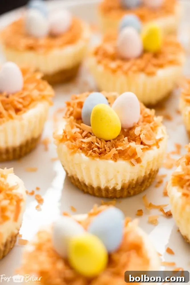 Easter Nest Cheesecake Delights 2 Exquisite Easter Bird's Nest Mini Cheesecakes with toasted coconut and colorful mini eggs