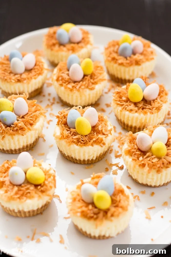 Easter Nest Cheesecake Delights 3 A close-up of the delicate Bird's Nest Mini Cheesecakes, ready for an Easter gathering