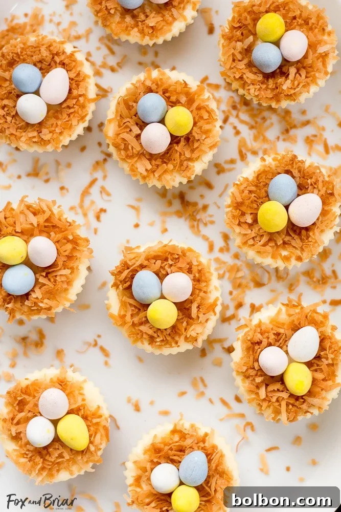 Easter Nest Cheesecake Delights 4 Variety of Easter Bird's Nest Mini Cheesecakes with different angles of topping