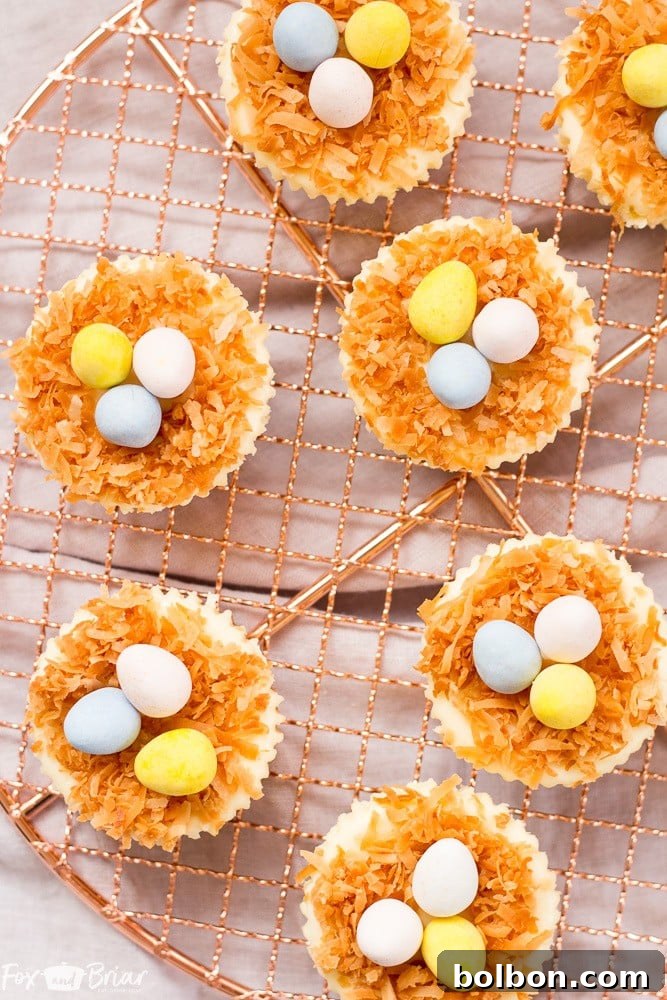Easter Nest Cheesecake Delights 5 A close-up of a single Easter Bird's Nest Mini Cheesecake showcasing the toasted coconut and mini egg candies