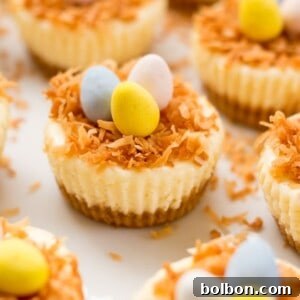 Close-up of a single Bird's Nest Mini Cheesecake with toasted coconut and mini eggs