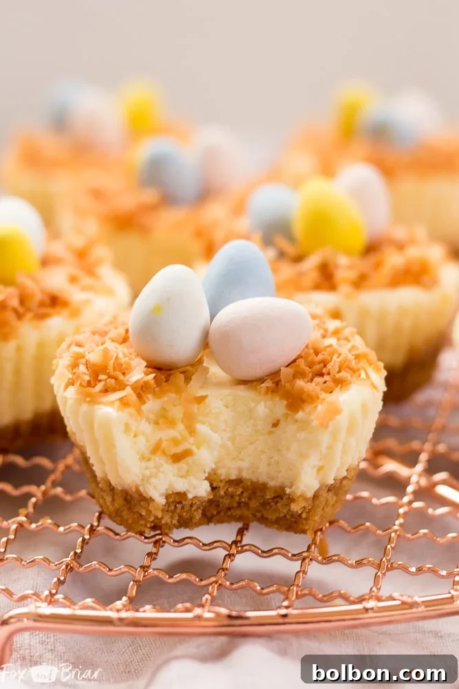 A top-down shot of several Easter Bird's Nest Mini Cheesecakes arranged attractively on a white platter