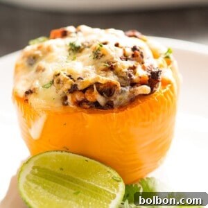 Fiesta Stuffed Peppers 8 Tex Mex Stuffed Bell Peppers