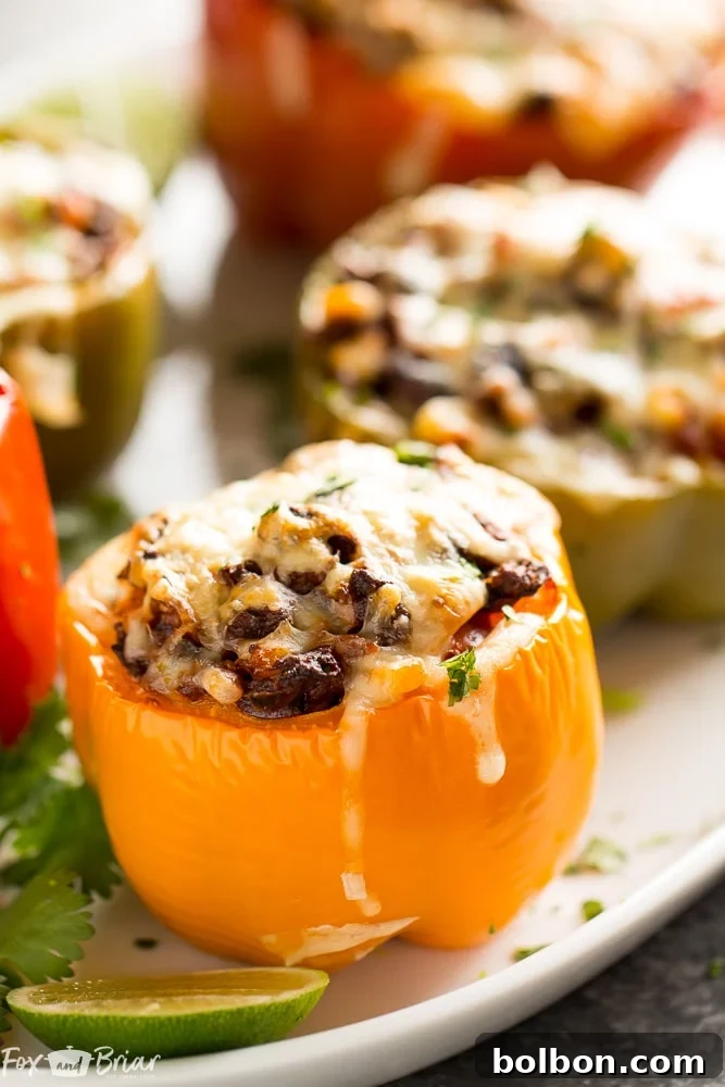Fiesta Stuffed Peppers 9 Final plated Tex-Mex Stuffed Bell Peppers, a delicious and satisfying grain-free, gluten-free dinner. Garnished with fresh cilantro and a dollop of sour cream. #ad @krogerco | Dinner Inspiration | Healthy Mexican Recipes
