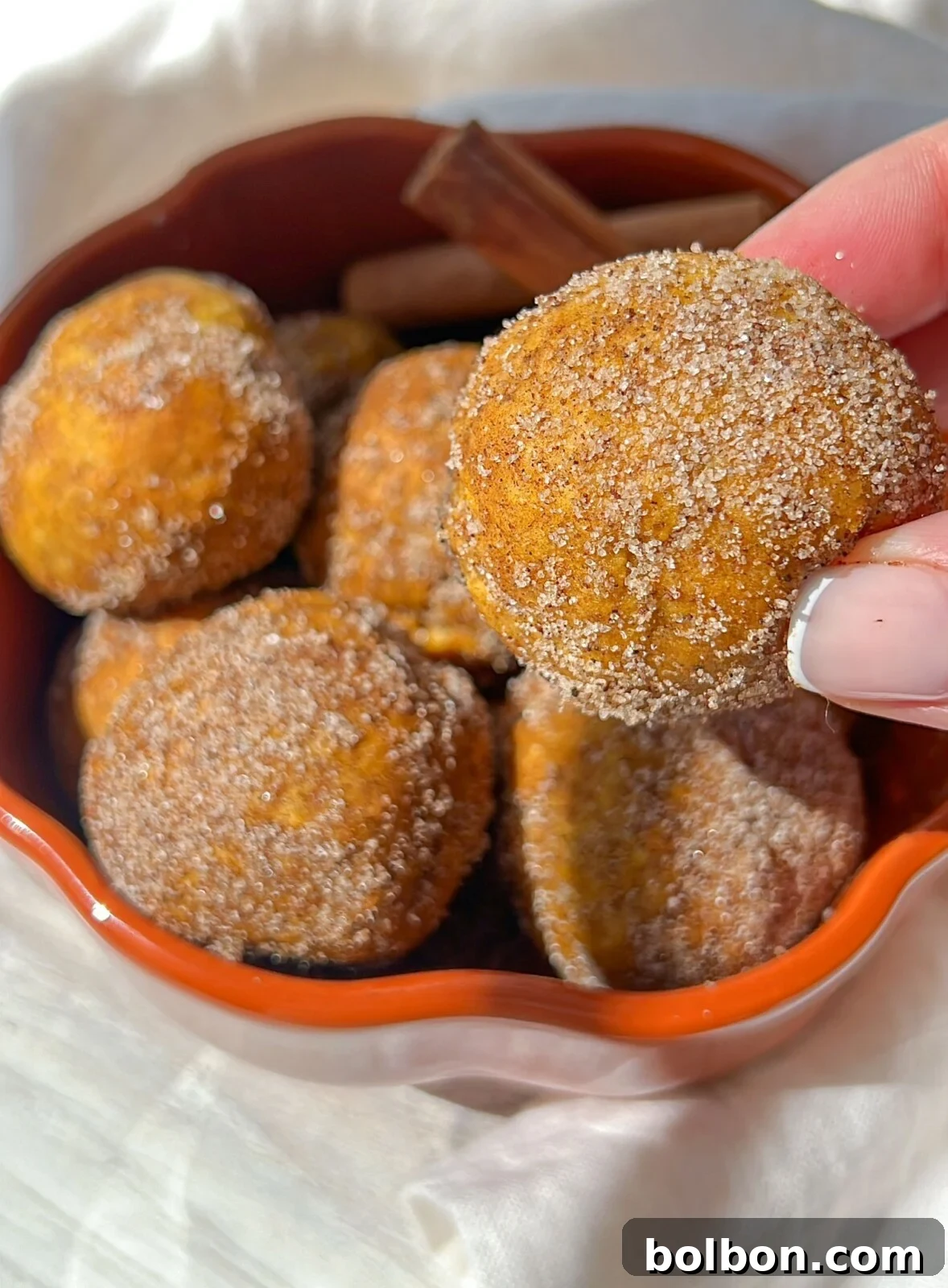 Quick 4 Ingredient Pumpkin Donut Bites 3 A bowl of cinnamon sugar-coated pumpkin donut holes. A hand holds one donut hole above the bowl. The background has a soft white cloth, and a few cinnamon sticks are visible in the bowl among the donut holes.