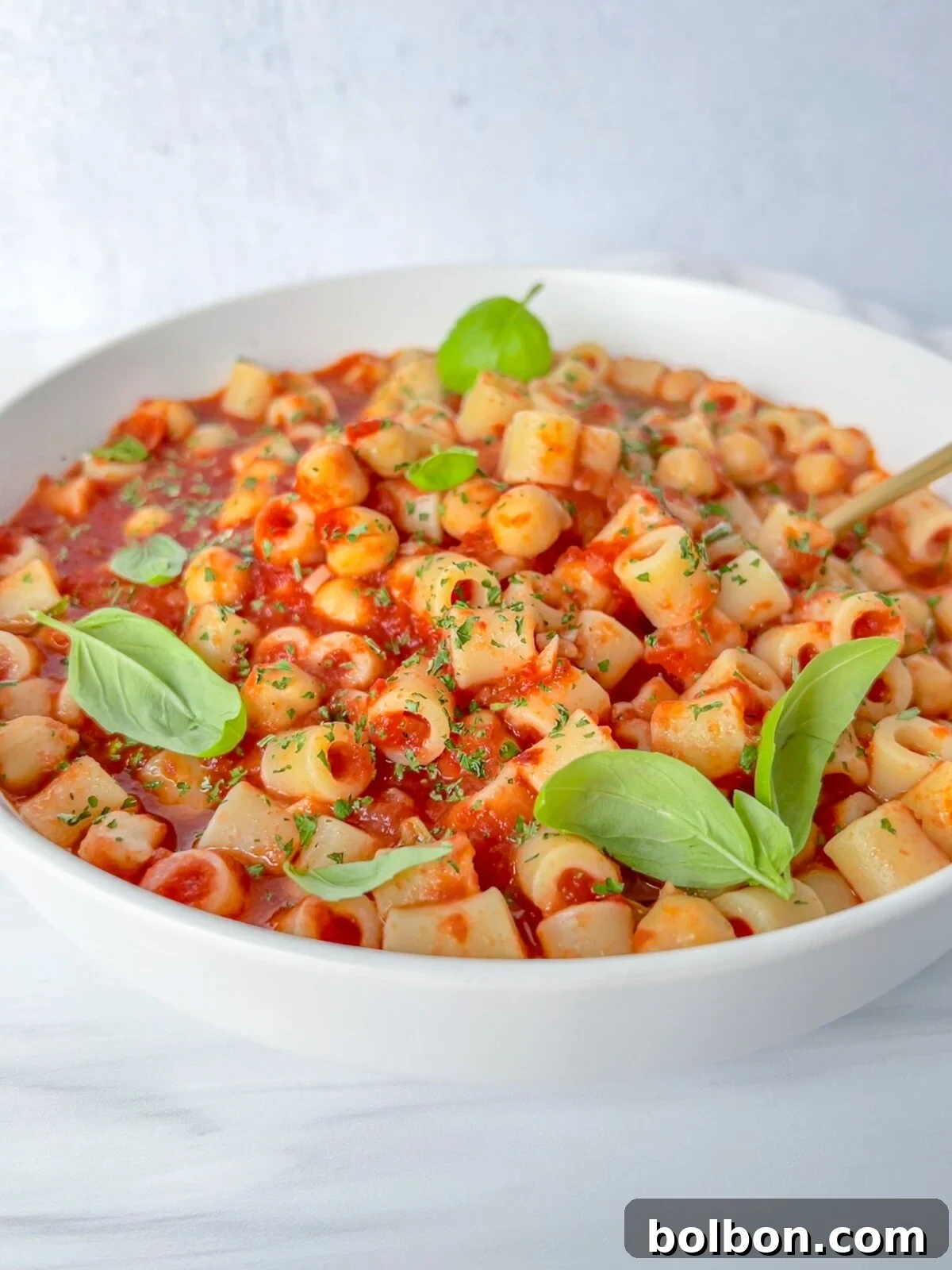 Italian Chickpea and Pasta Stew 2 A comforting bowl of Pasta e Ceci, showcasing small pasta and chickpeas in a rich tomato sauce, garnished with fresh basil.