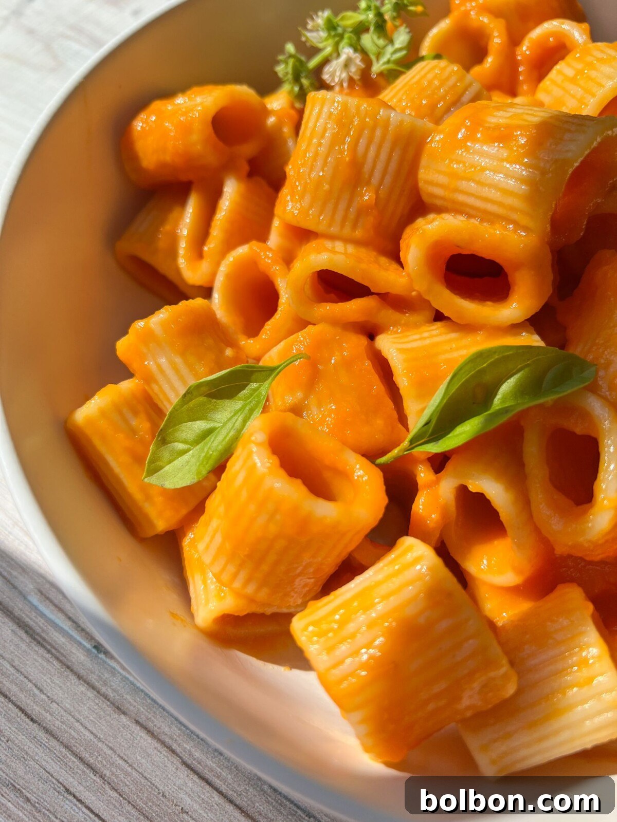 Homemade Marinara Perfection 3 A bowl of rigatoni pasta covered in a vibrant orange marinara sauce recipe, garnished with fresh basil leaves and a sprig of thyme. The pasta is well-coated and appears appetizing, with the sunlight casting a warm, natural light on the dish.