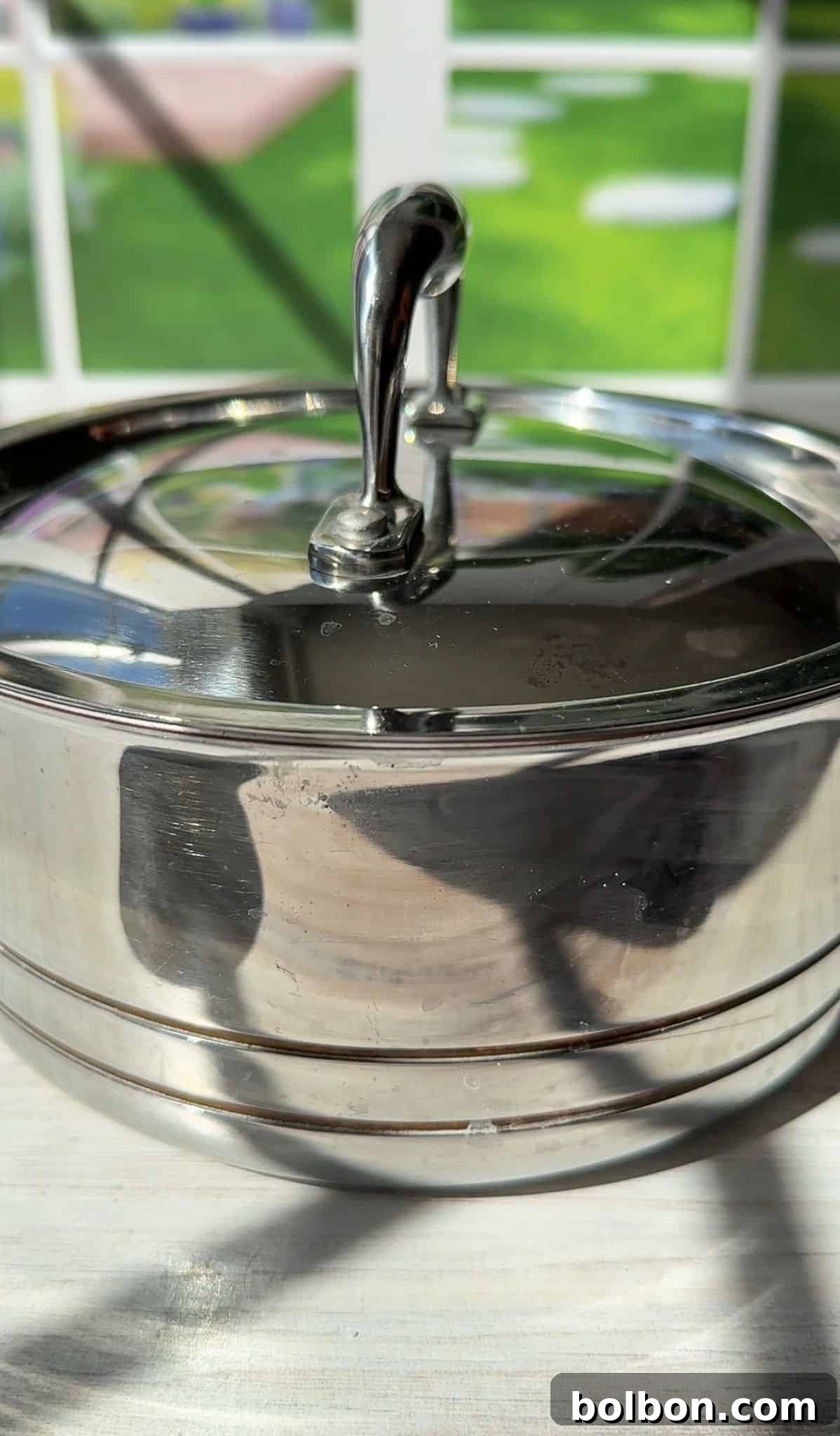 A shiny stainless steel pot with a lid sits on a light-colored surface. The background shows a green lawn and part of a window, with some sunlight casting reflections on the pot's surface. The pot handle is visible, upright on the lid.