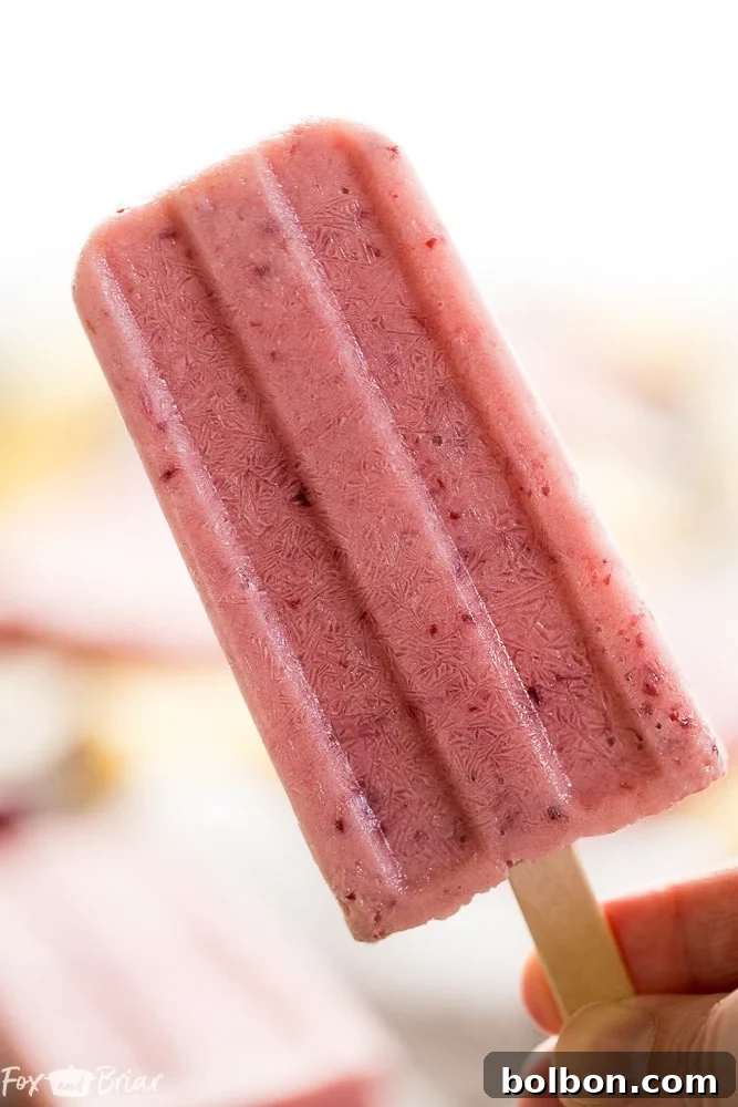 Healthy no-sugar-added popsicles for post-exercise cool down