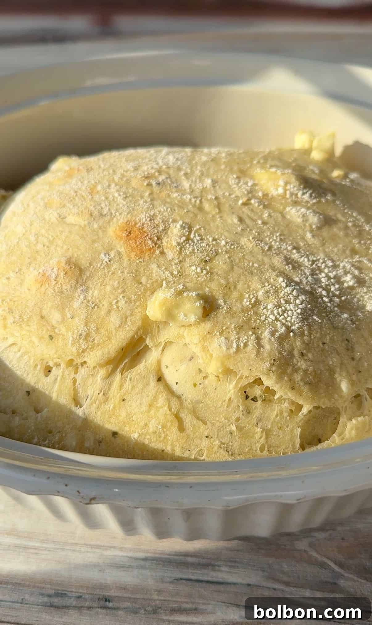 Close-up of a lightly dusted, golden-brown no knead feat bread bread after it's first bake. The dough appears fluffy with some bubbles on the surface, suggesting it is well-leavened. Sunlight casts soft shadows, highlighting its texture.