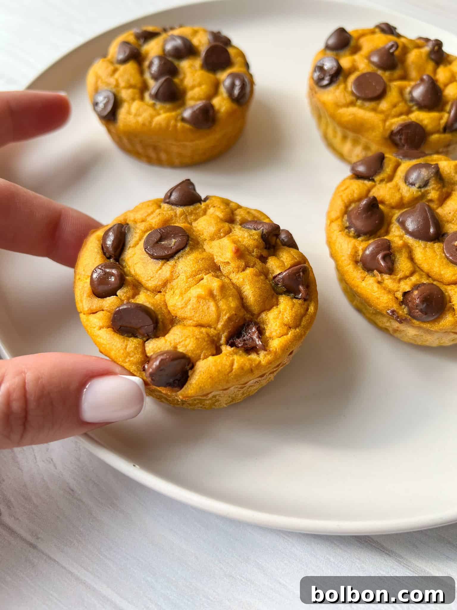 Wholesome Spiced Pumpkin Muffins 8 Four chocolate chip muffins are on a white plate. A hand with white nail polish is reaching for one of the muffins. The muffins have a golden-brown color and chocolate chips scattered on top. The background is a light surface.