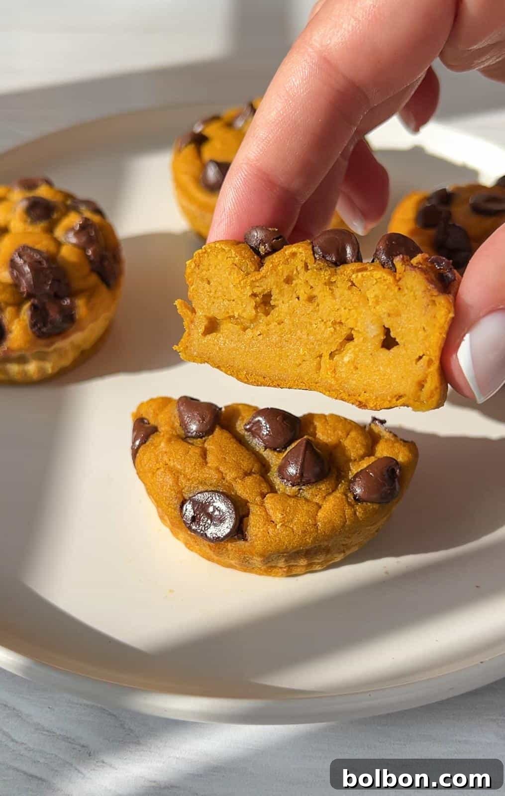 Wholesome Spiced Pumpkin Muffins 9 A person holds a half-eaten, round pumpkin muffin with chocolate chips, showing a soft texture. Several whole muffins are on a white plate in the background, illuminated by natural light.
