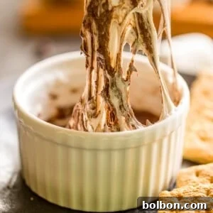One Minute S'mores Dip For One