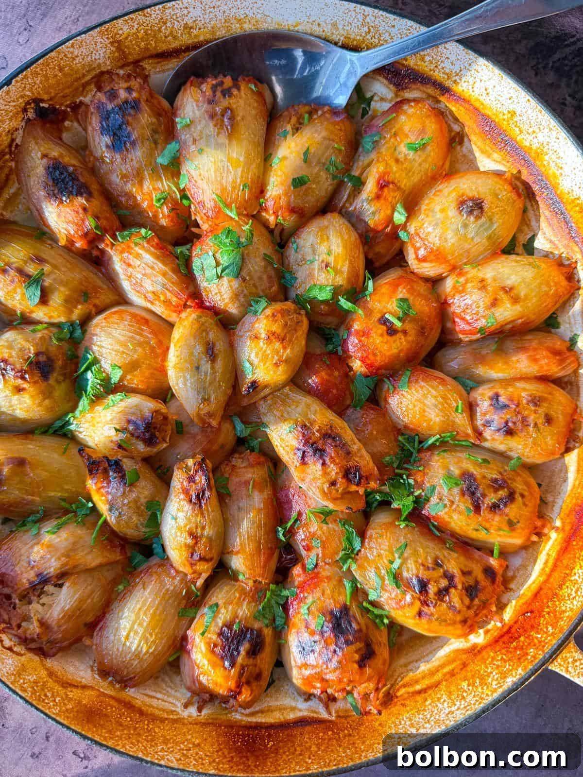 Golden Stuffed Onion Delights 2 A top view of a baked dish featuring golden-brown stuffed onions, sprinkled with fresh herbs. The onions are arranged in a circular pattern, placed in a round baking dish, with a serving spoon resting at the edge.