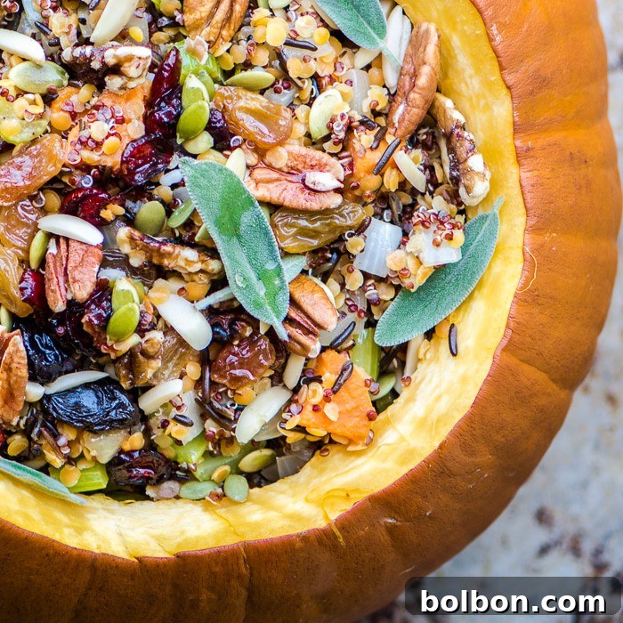 31 Healthy Pumpkin Recipes | Healthy Fall Recipes | Healthy Pumpkin Spice Recipes | Savory Pumpkin Recipes | Healthy Pumpkin Desserts | Healthy Fall Breakfast