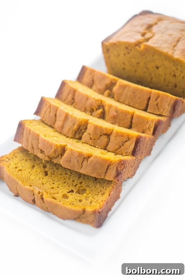 31 Healthy Pumpkin Recipes | Healthy Fall Recipes | Healthy Pumpkin Spice Recipes | Savory Pumpkin Recipes | Healthy Pumpkin Desserts | Healthy Fall Breakfast