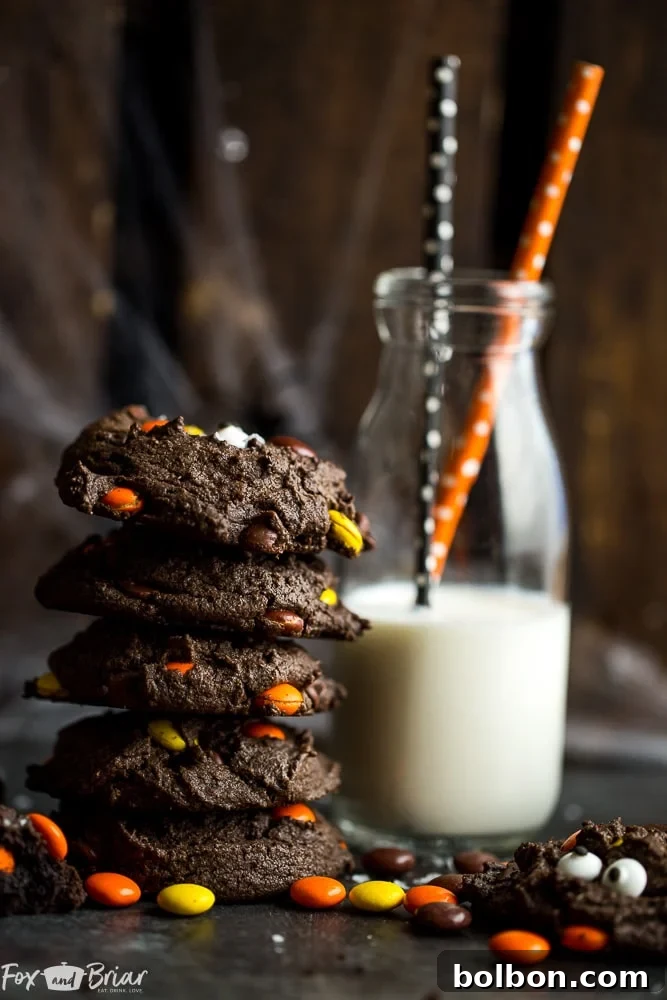 Decadent Double Chocolate Peanut Butter Cookies 2 Delicious Double Double Chocolate Peanut Butter Cookies with chocolate chips and peanut butter candies, perfect for any occasion.