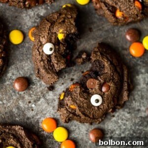 Double Double Chocolate Peanut Butter Cookies with chocolate chips