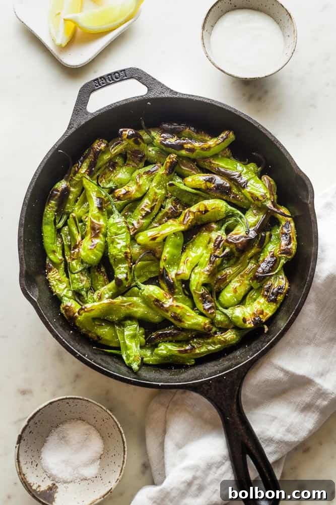 Addictive Shishito Pepper Snack 2 Blistered Shishito Peppers in a cast iron skillet, perfectly charred and ready to serve