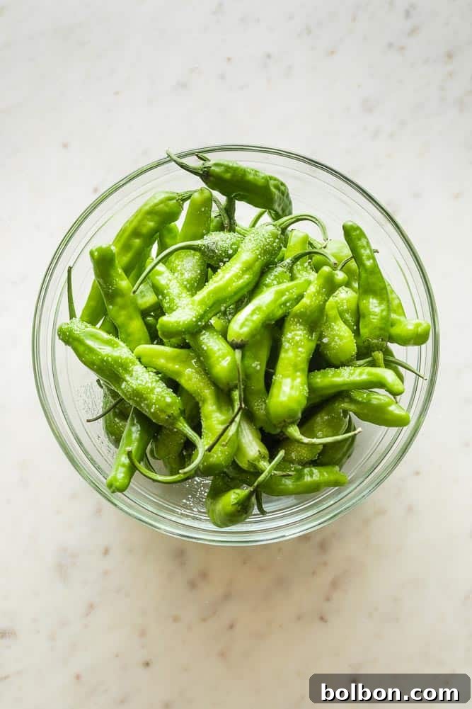 Addictive Shishito Pepper Snack 3 A clear glass bowl filled with fresh, vibrant green shishito peppers, ready for cooking.