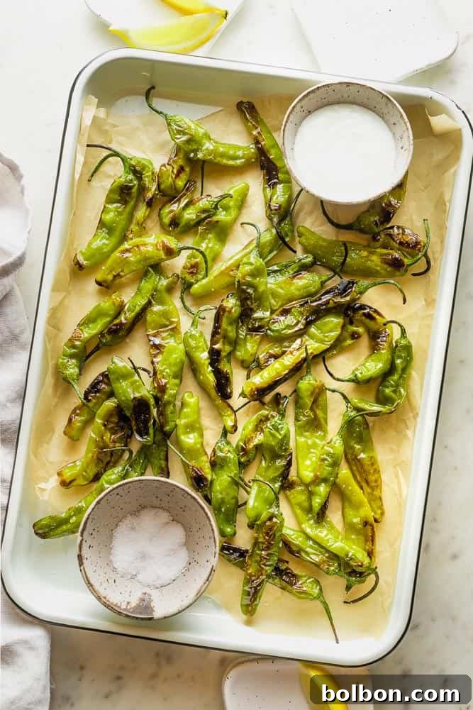 Addictive Shishito Pepper Snack 7 Blistered shishito peppers arranged on a serving tray with a small bowl of yogurt garlic sauce.