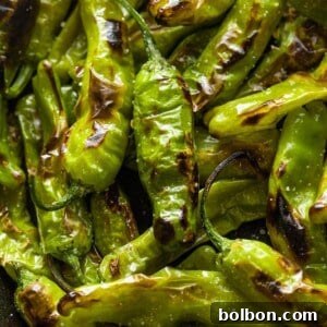 Blistered Shishito Peppers with Garlic Lemon Yogurt Dip