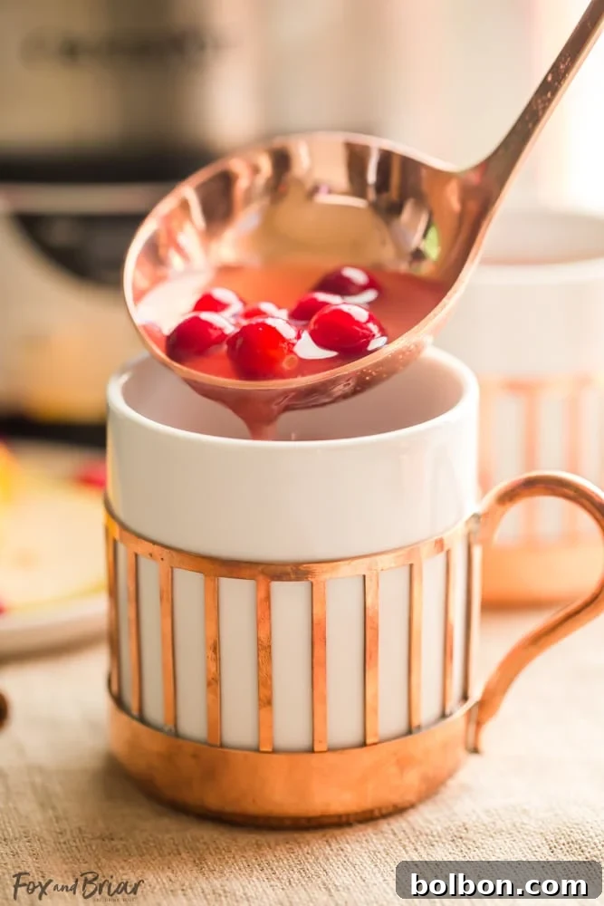 Serving homemade cranberry pear cider in elegant glasses, garnished beautifully for presentation.