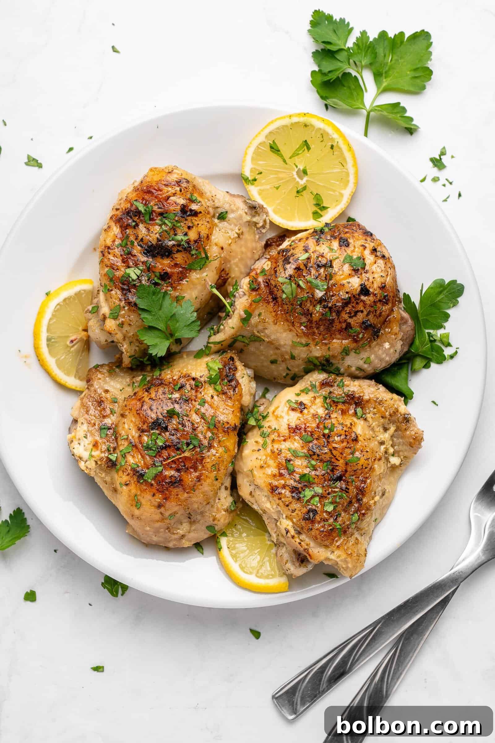 Zesty Lemon Yogurt Chicken 2 A plate with lemon yogurt chicken.